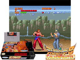 Ultimate Fighter